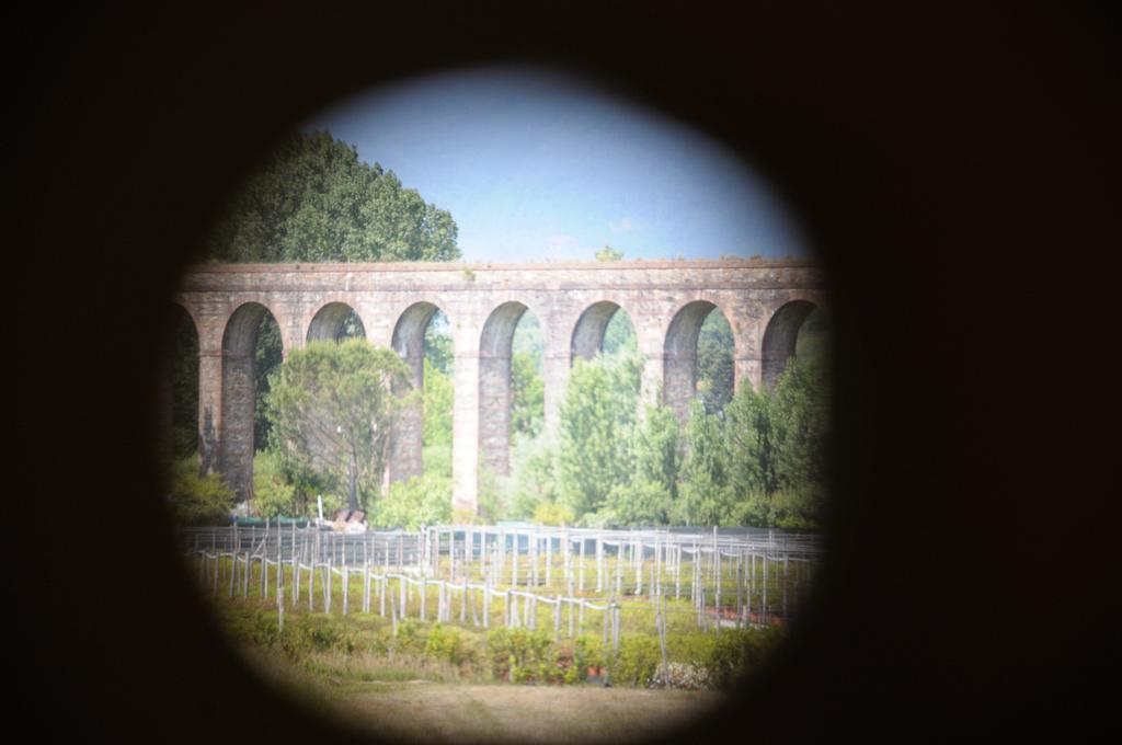 Appartamenti Vacanze Il Nottolini Capannori Esterno foto