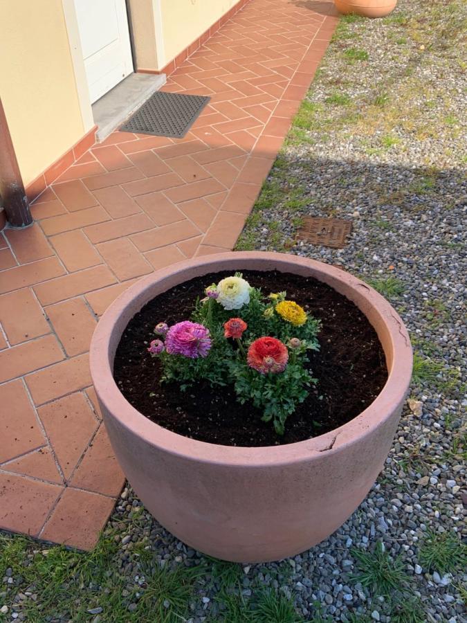 Appartamenti Vacanze Il Nottolini Capannori Esterno foto